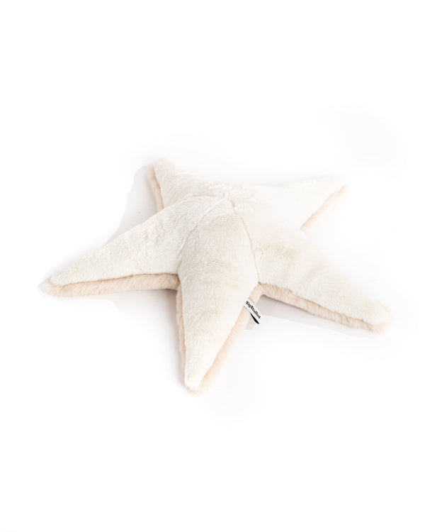 The Starfish