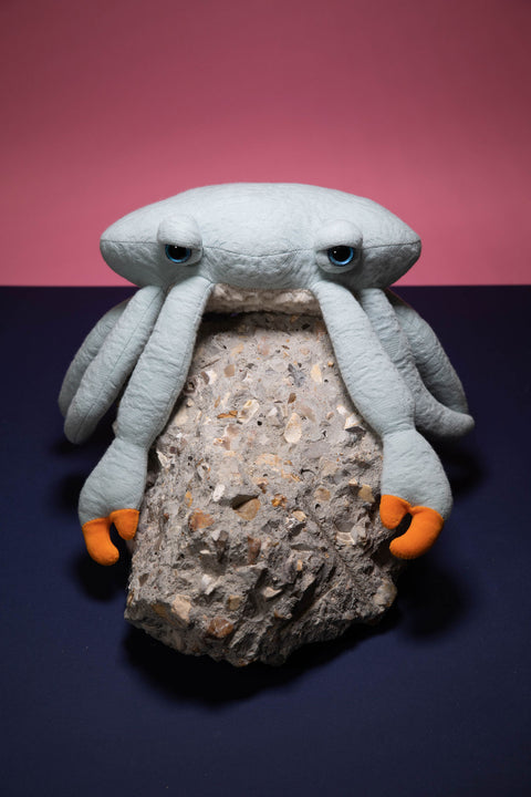 " Mon troisième achat! Mes petits-enfants adorent jouer dans la mer le jour et avec leurs animaux en peluche la nuit! "