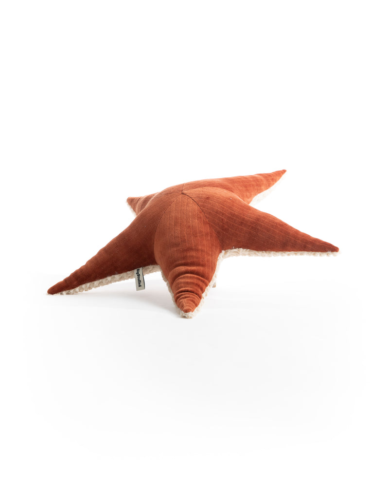 The Starfish – Red Velvet