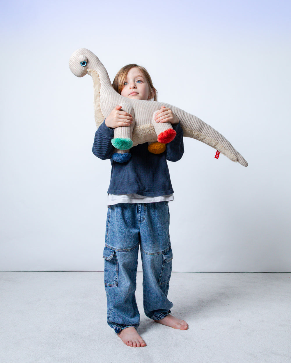 The Dinosaur Stuffed Animal Plushie Primary Small by BigStuffed