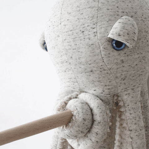 The Octopus