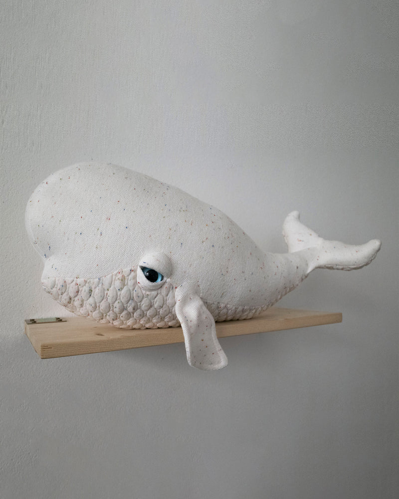 The Beluga – Freckled