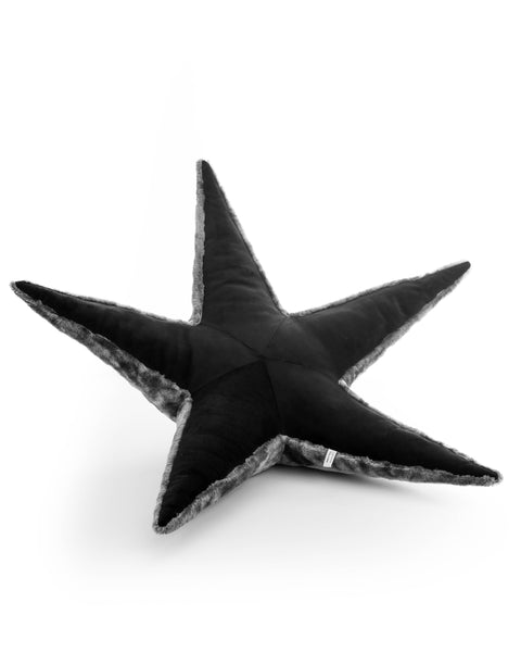 The Starfish