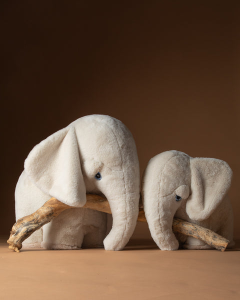 The Elephant