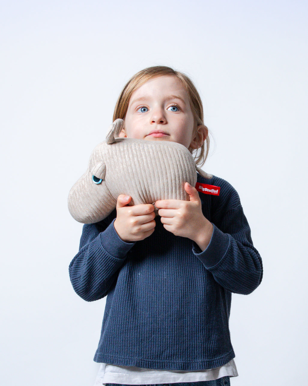 Collections – BigStuffed
