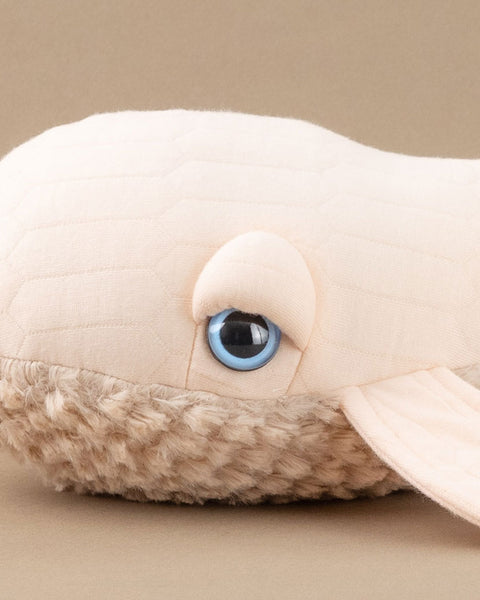 The Mini Whale