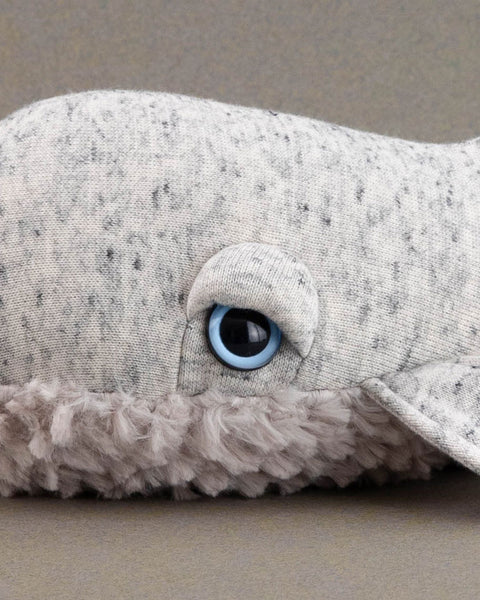 The Mini Whale