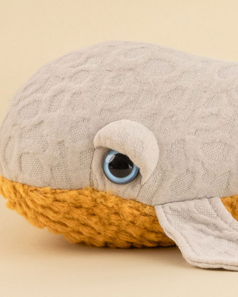The Mini Whale