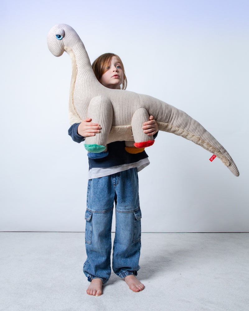 The Dinosaur – Primary